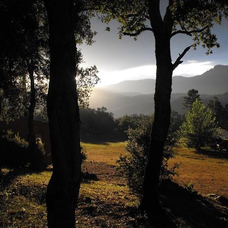 Camping Maçanet de Cabrenys Exteriér fotografie