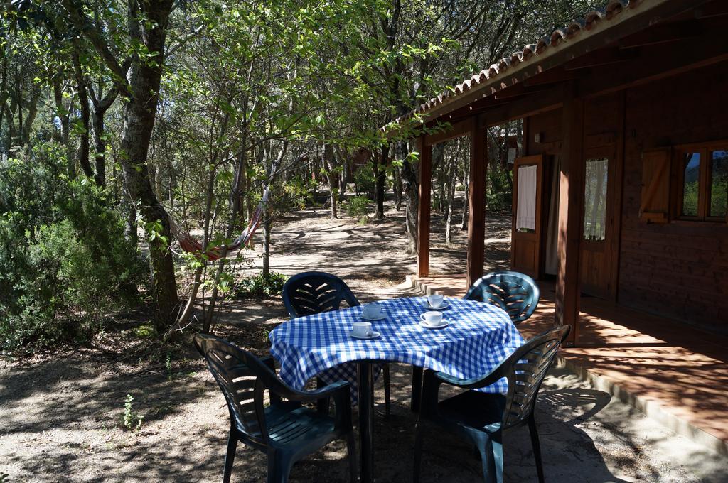 Camping Maçanet de Cabrenys Exteriér fotografie